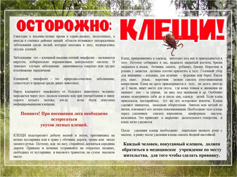 Памятка "Клещевой энцефалит".